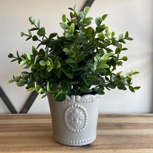Small Grey Fleur De Lis Pot | 11cm