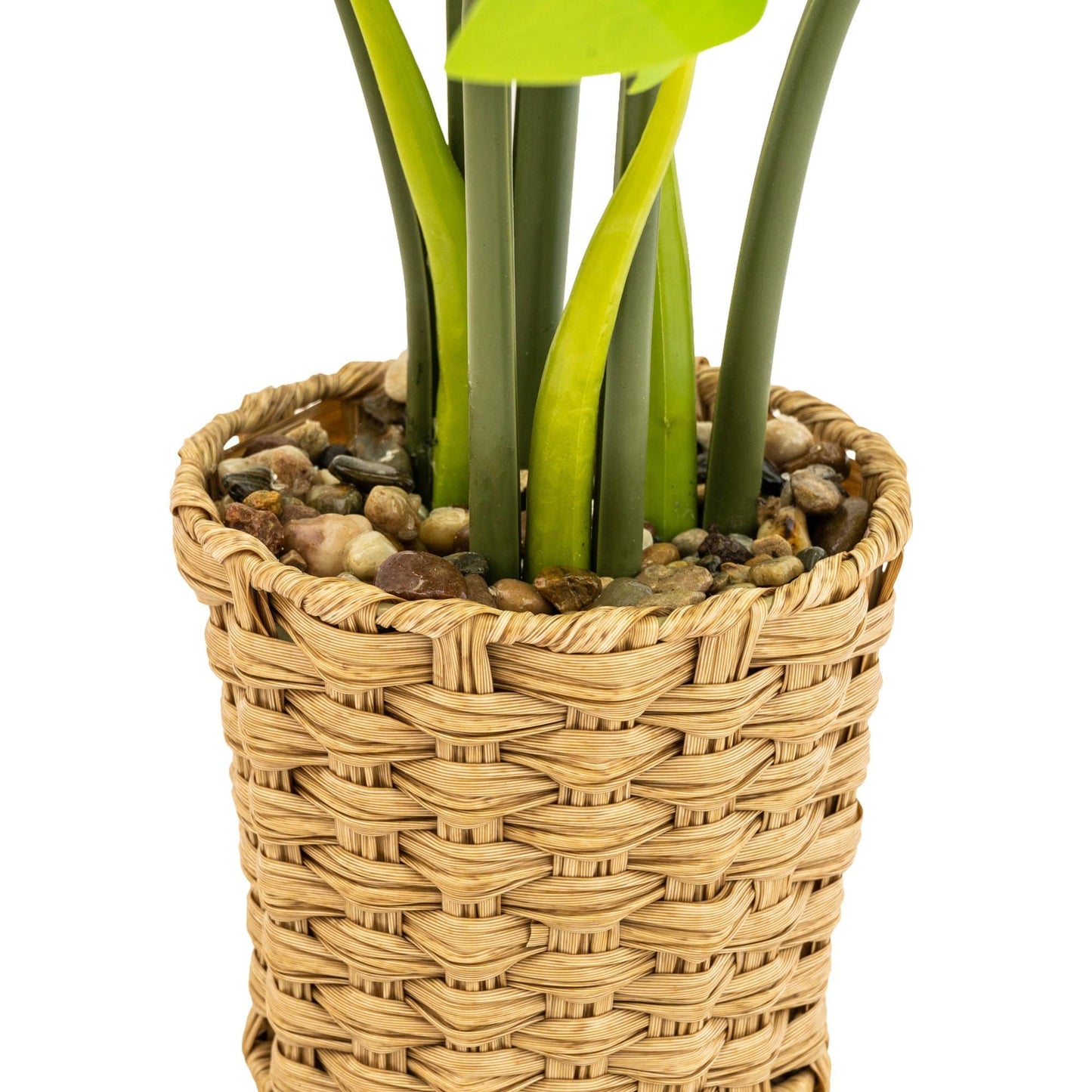 Artificial Cheese Plant in Wicker Pot | 74cm