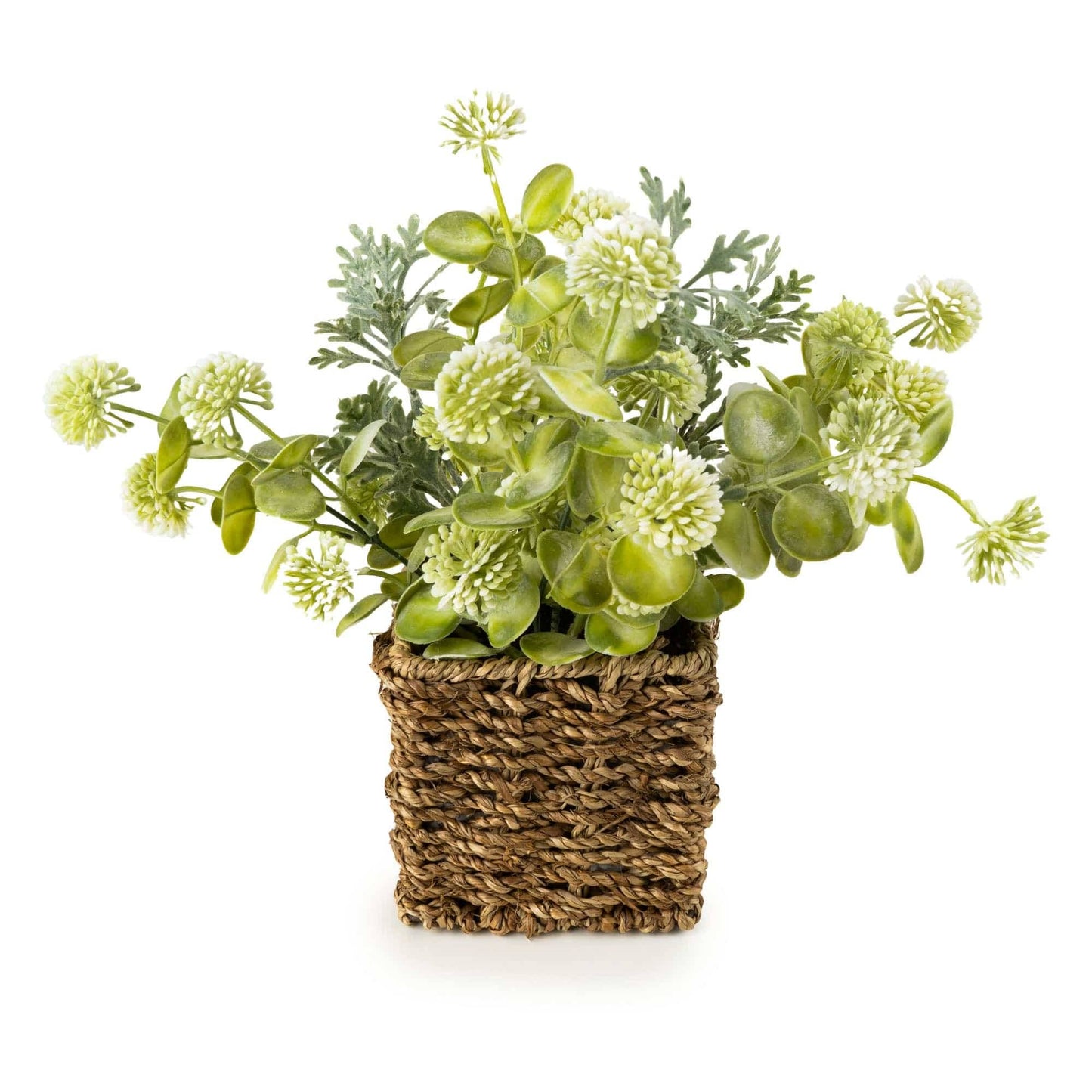 Green Jonquil in Cattail Basket | 28cm