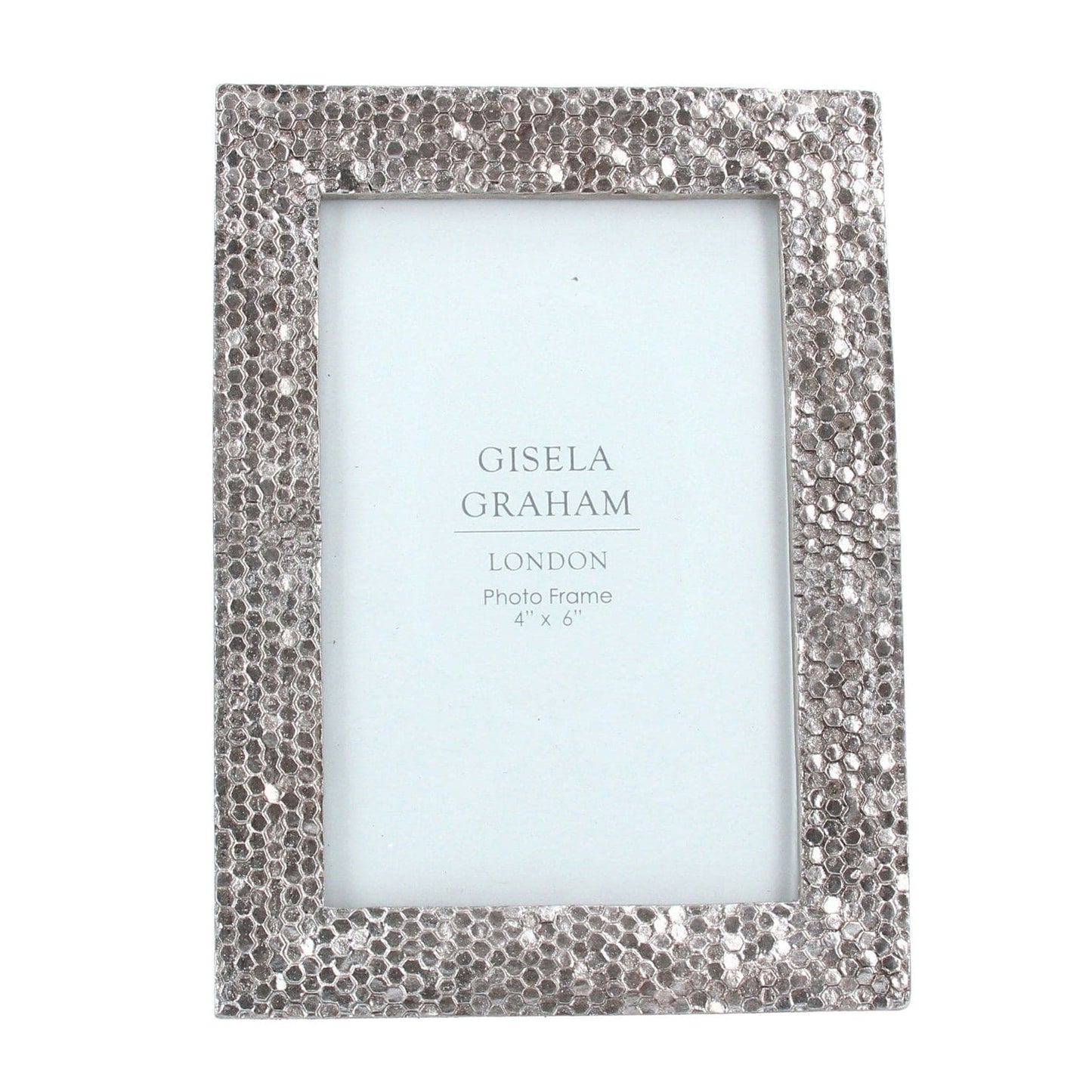 Resin Photo Frame (4x6) - Silver Chainmail