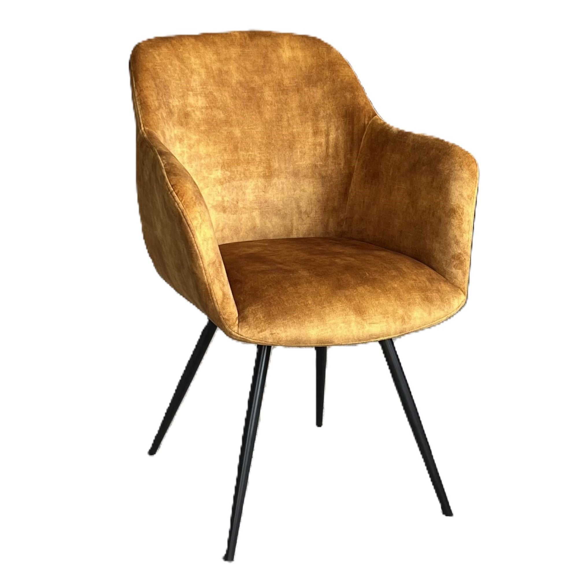Enzo Dining / Occasional chair | gold