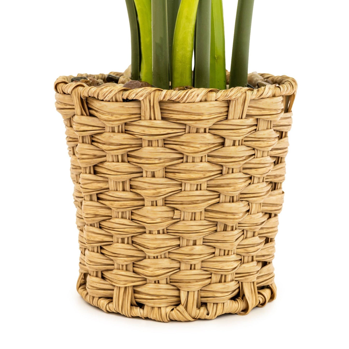 Artificial Cheese Plant in Wicker Pot | 74cm