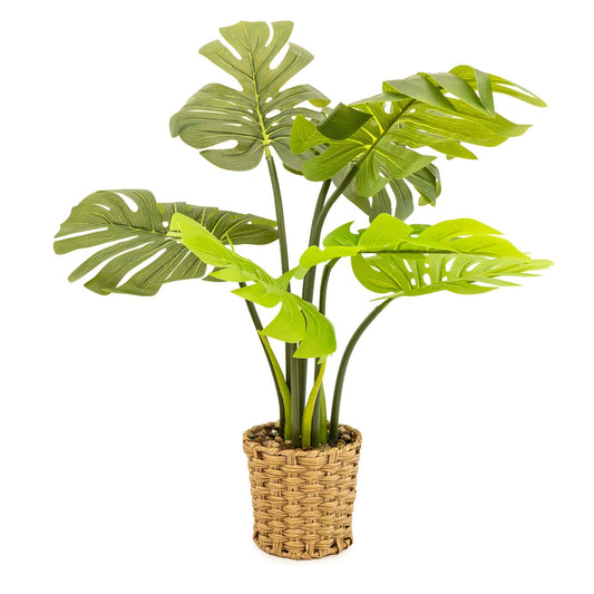 Artificial Cheese Plant in Wicker Pot | 74cm